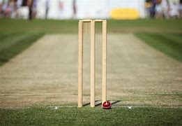 Image result for Cricket Ball and Wicket