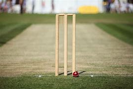 Image result for Cricket Sport Wicket