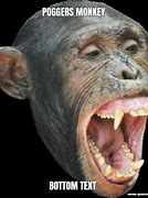 Image result for Monkey POG Meme