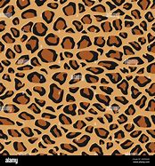 Image result for Cheetah Spots Pattern
