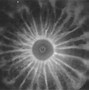 Image result for Ant Nebula