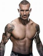 Image result for Randy Orton Biceps