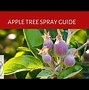 Image result for What Kind of Spray for Apple Trees