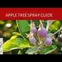 Image result for Spraying Apple Trees in Spring