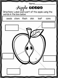 Image result for A Apple Worksheet