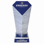 Image result for NFL Trophy