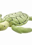Image result for Green Rubber Turtle Toy