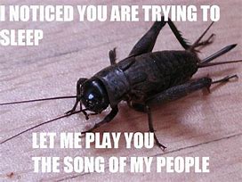 Image result for Cricket Memes Animal