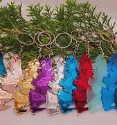 Image result for Plastic Key Chain