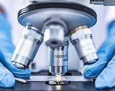 Image result for Biomedical Engineering Products