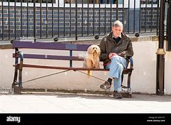 Image result for Man Sitting On Bench with Dog Meme