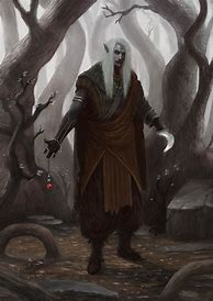 Image result for Elf Thief Concept Art