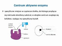 Image result for centrum_aktywne_enzymu