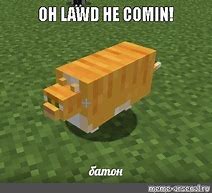 Image result for Cat OH Damn He Comin