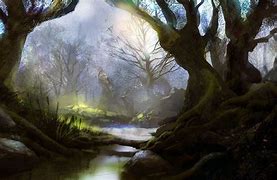 Image result for Mystical Forest Images