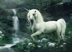 Image result for Unicorn Spirit