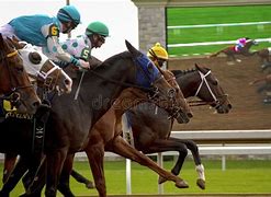Image result for Horses Photo Finish