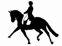 Image result for Dressage Horse Clip Art