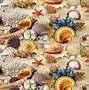 Image result for Shells iPhone Wallpaper