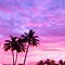 Image result for Pink Sunset iPhone