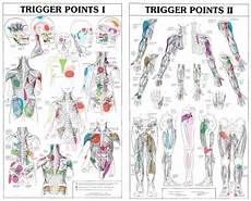 Trigger Point Chart Referral Patterns For Common Quot