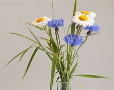 Image result for Wildflower Vase