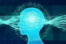 Image result for Brain Neuroplasticity