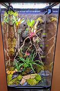 Image result for Zoo Med 18X18x36 Tank