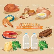 alimentos de vitamina b vitamins and minerals foods illustration vitamina b12 alimentos de vitamina b vitamins and minerals foods illustration vitamina b12
