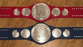 Image result for Appalachian Wrestling Belts