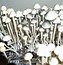 Image result for Pan Cyan Fruiting Chamber