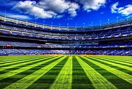 Image result for Cricket Pitch Background