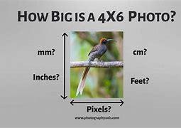 Image result for 4 X 6 Inches