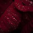 Image result for burgundy colors meanings