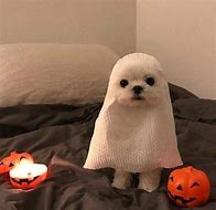 Image result for Ghost Dog Meme