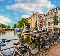 Image result for Amsterdam Sightseeing