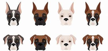 Image result for Dog Markings Chart