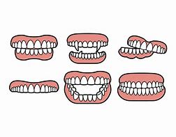 Image result for False Teeth Funny Cartoon