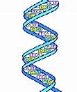 Image result for DNA Meme