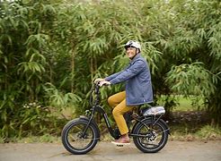 Image result for Low Cost Electric Bikes