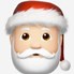 Image result for Christmas Emoji iPhone