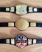 Image result for WWE Belt Case