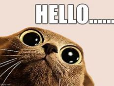 Image result for Say Hello Meme