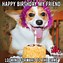Image result for Happy Birthday Girl Funny