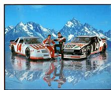 Image result for NASCAR Racing Race Track