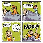 Image result for Garfield Surgery Meme
