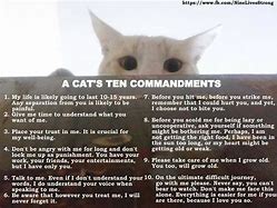 Image result for Cat 10 Commandments