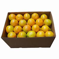 Image result for Packaged Oranges
