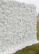 Image result for White Flower Wall