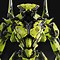 Image result for Robot Mech Models Blender